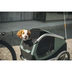 Thule Fietskar Bexey Groen&Zwart&Aluminium - Hondenfietskar