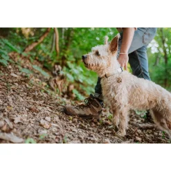 Tickless Eco Pet Repeller - Teek en Vlo afweer - 10.5x9.5x2 cm Bruin