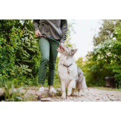 Tickless Eco Pet Repeller - Teek en Vlo afweer - 10.5x9.5x2 cm Bruin