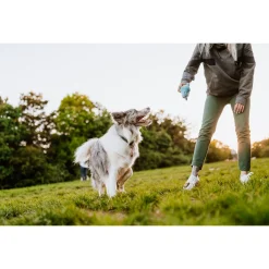 Tickless Eco Pet Repeller - Teek en Vlo afweer - 10.5x9.5x2 cm Bruin