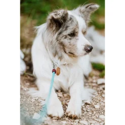 Tickless Eco Pet Repeller - Teek en Vlo afweer - 10.5x9.5x2 cm Bruin