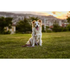 Tickless Eco Pet Repeller - Teek en Vlo afweer - 10.5x9.5x2 cm Bruin