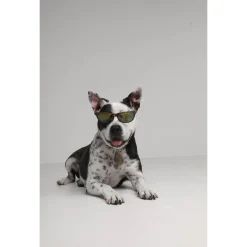 Tickless Eco Pet Repeller - Teek en Vlo afweer - 10.5x9.5x2 cm Bruin