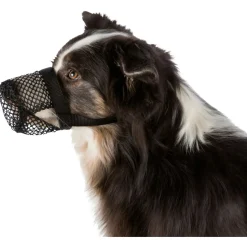 Trixie Anti-Lokaas-Snuitje - Hondenopvoeding - Zwart 18-26 Cm Xs