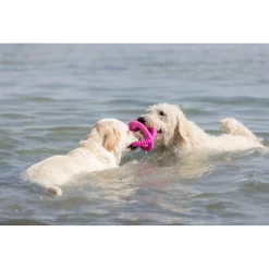 Trixie Aqua Toy Trekspeeltje - Hondenspeelgoed - Ø17 cm Assorti