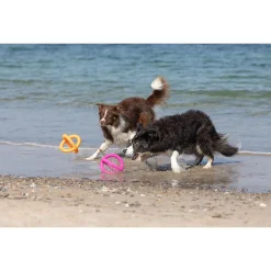 Trixie Aqua Toy Trekspeeltje - Hondenspeelgoed - Ø17 cm Assorti