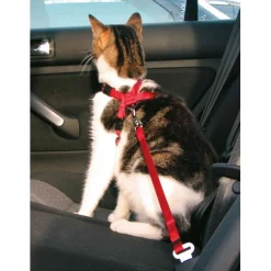 Trixie Auto-Tuig Voor Katten - Kattenharnas - Rood 20-50 Cm
