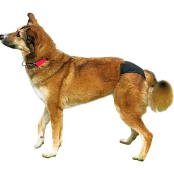 Trixie Beschermbroekje Zwart - Hondenloopsheid