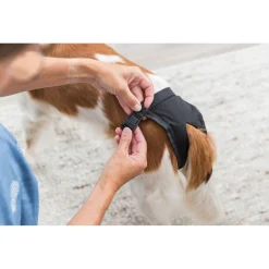 Trixie Beschermbroekje Zwart - Hondenloopsheid