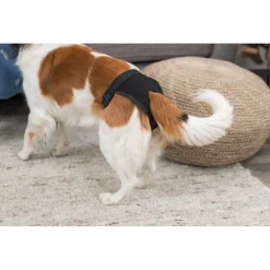 Trixie Beschermbroekje Zwart - Hondenloopsheid