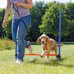 Trixie Dog Activity Agility Horde - Hondensport - 123x115x3 cm Blauw Oranje