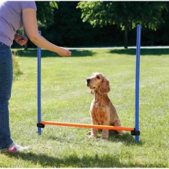 Trixie Dog Activity Agility Horde - Hondensport - 123x115x3 cm Blauw Oranje