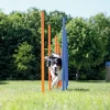 Trixie Dog Activity Agility Slalom - Hondensport - 115x3 cm Blauw Oranje