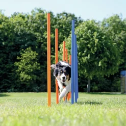 Trixie Dog Activity Agility Slalom - Hondensport - 115x3 cm Blauw Oranje