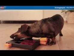 Trixie Dog Activity Mini Mover Strategiespel - Hondenspeelgoed - 25x20 cm Dark Navy Wit Lichtblauw Level 3