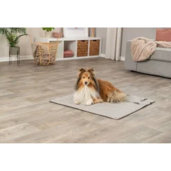 Trixie Honden Reisdeken - Hondendeken - 80x80 cm Lichtgrijs