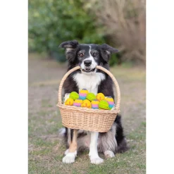 Trixie Hondenspeelgoed Ei - Hondenspeelgoed -