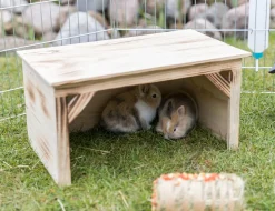 Trixie Houten Afdak - Kooi Accessoire - 50x31x26 cm Gevlamd