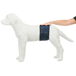 Trixie Incontinentie Plasband Voor Reuen Dark Navy - Hondenhulpmiddelen