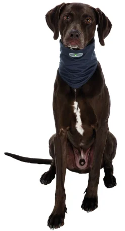 Trixie Insect Shield Bandana Grijs - Anti vlooien en tekenmiddel