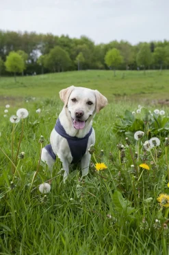 Trixie Insect Shield Vest Grijs - Anti vlooien en tekenmiddel