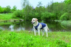 Trixie Insect Shield Vest Grijs - Anti vlooien en tekenmiddel