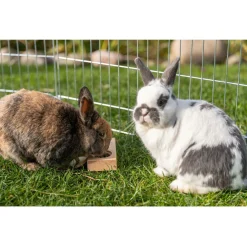 Trixie Intelligentiespel Snack Box - Speelgoed - 14x7x3 cm