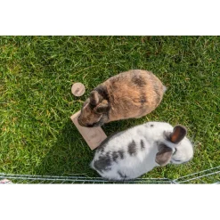 Trixie Intelligentiespel Snack Box - Speelgoed - 14x7x3 cm