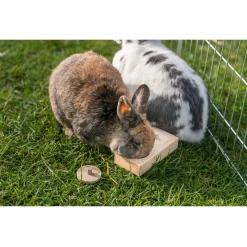 Trixie Intelligentiespel Snack Box - Speelgoed - 14x7x3 cm