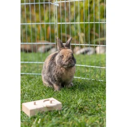 Trixie Intelligentiespel Snack Box - Speelgoed - 14x7x3 cm