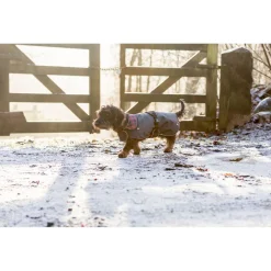 Trixie Jas Hermy Zwart&Rood - Hondenkleding