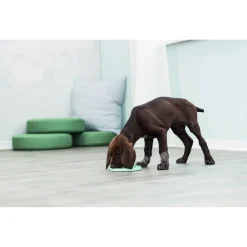 Trixie Junior Likplaat - Hondenspeelgoed - Ø15 cm Mintgroen