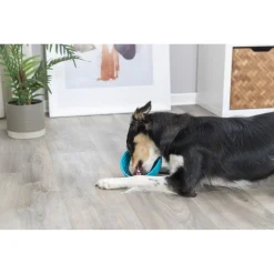 Trixie Lick'N'snack Bowl - Hondenvoerbak - Ø16 cm Petrol