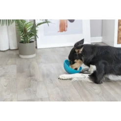 Trixie Lick'N'snack Bowl - Hondenvoerbak - Ø16 cm Petrol