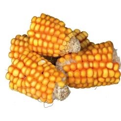 Trixie Mais Kolfstukken - Knaagdiersnack - 300 g