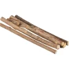 Trixie Matatabi Kauwstaafjes - Kattenspeelgoed - 10 g
