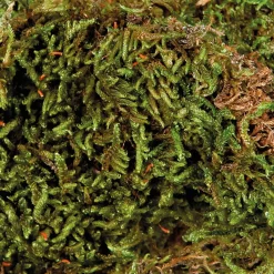 Trixie Mos - Kooi Accessoire - 200 g