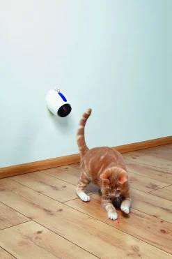 Trixie Moving Light - Kattenspeelgoed - 11 cm Wit