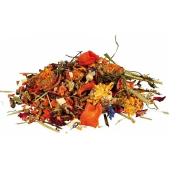 Trixie Natuurvoer-Mix Voor Baardagamen - Voer - 100 g