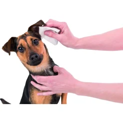 Trixie Oorverzorgingsdoekjes - Orenpads - Zwart 30 stuks