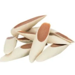 Trixie Pasta - Hondensnacks - Kip 67.5x49x36.5 cm 100 g