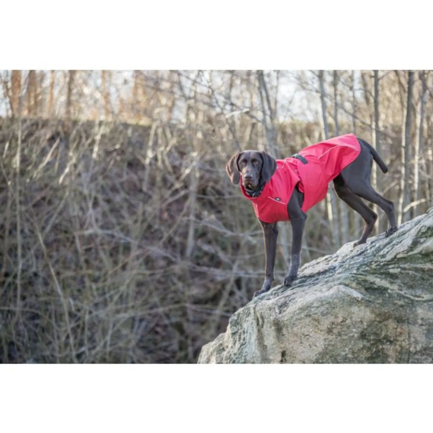 Trixie Regenjas Vimy Rood - Hondenkleding