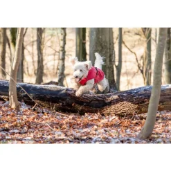 Trixie Regenjas Vimy Rood - Hondenkleding