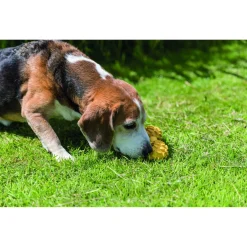 Trixie Rubber Halter Met Bel - Hondenspeelgoed - 17 cm