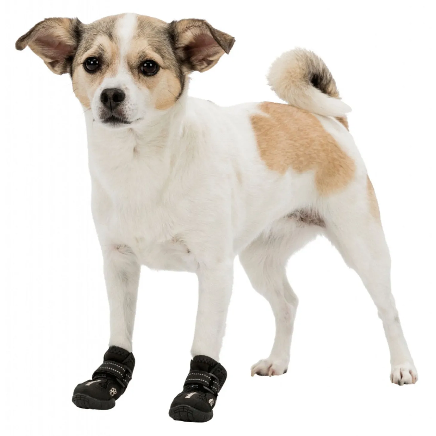 Trixie Schoentje Walker Active Zwart - Hondenpootverzorging