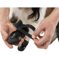 Trixie Schoentje Walker Active Zwart - Hondenpootverzorging