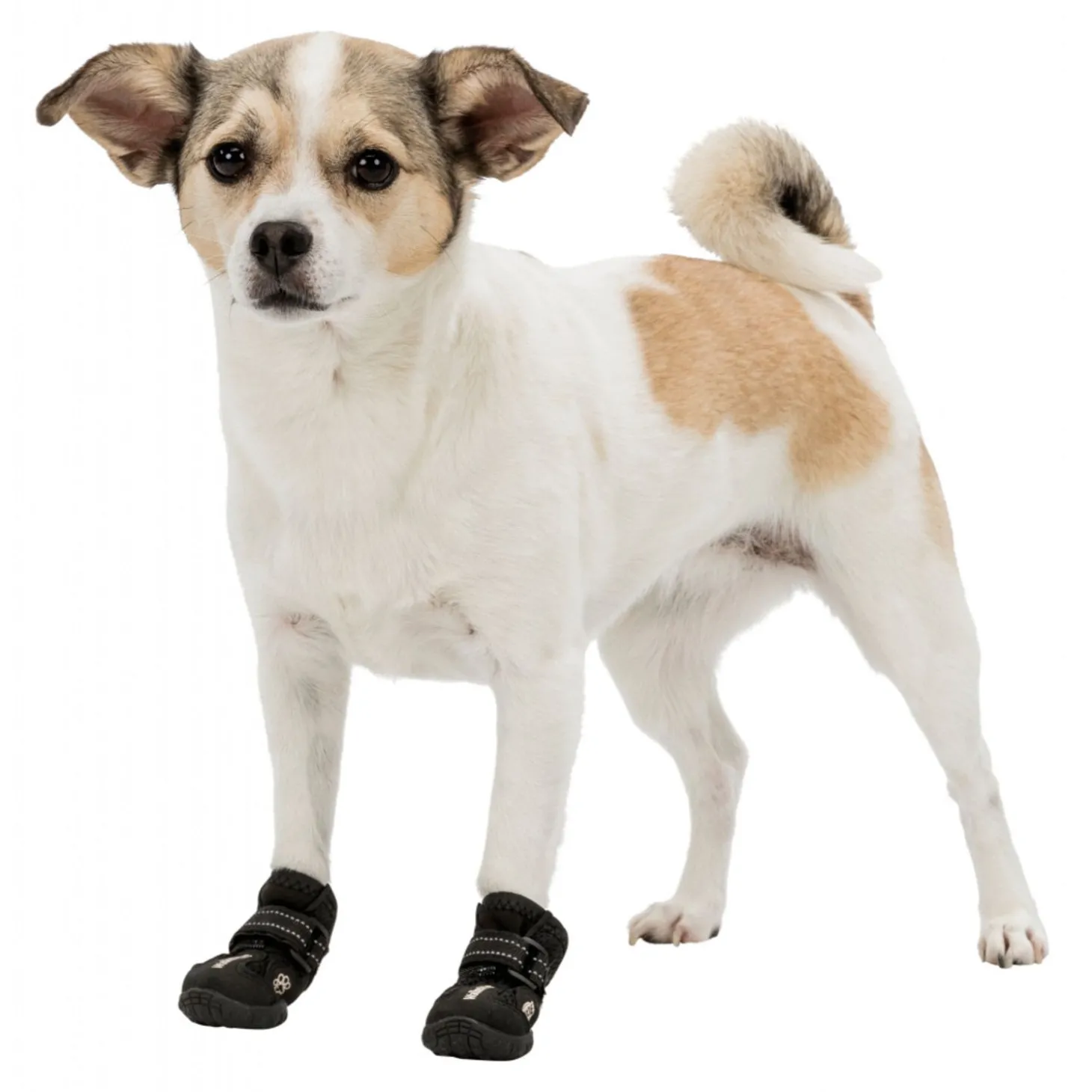 Trixie Schoentje Walker Active Zwart - Hondenpootverzorging