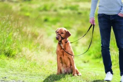 Trixie Top Trainer Opleidingstuig Zwart - Hondenopvoeding