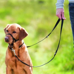 Trixie Top Trainer Opleidingstuig Zwart - Hondenopvoeding