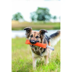 Trixie Trainingsdummy Polyester - Hondensport - Ø6x14/25 Cm